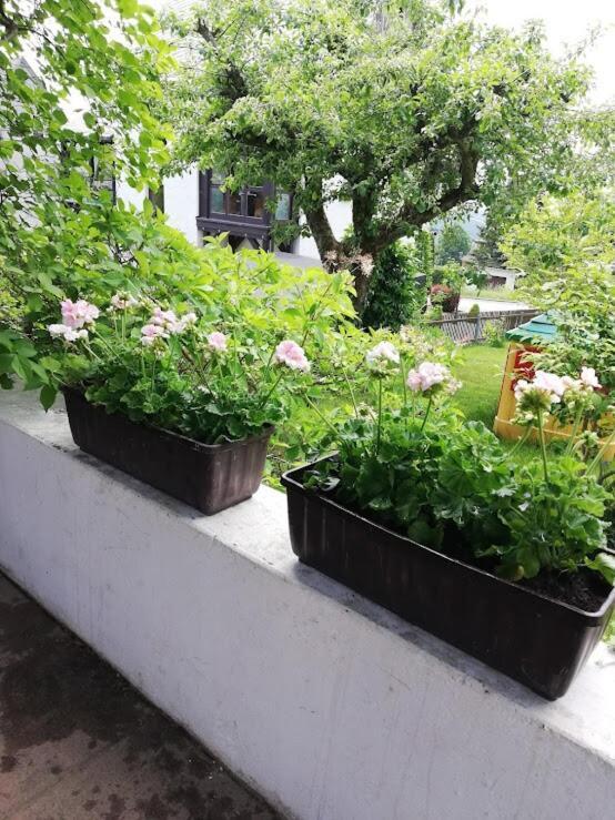 Appartamento Am Balkon Des Erzgebirges Bernsbach Esterno foto